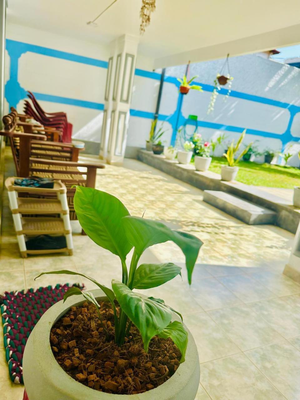 Sea Breeze Guest House 尼甘布 外观 照片