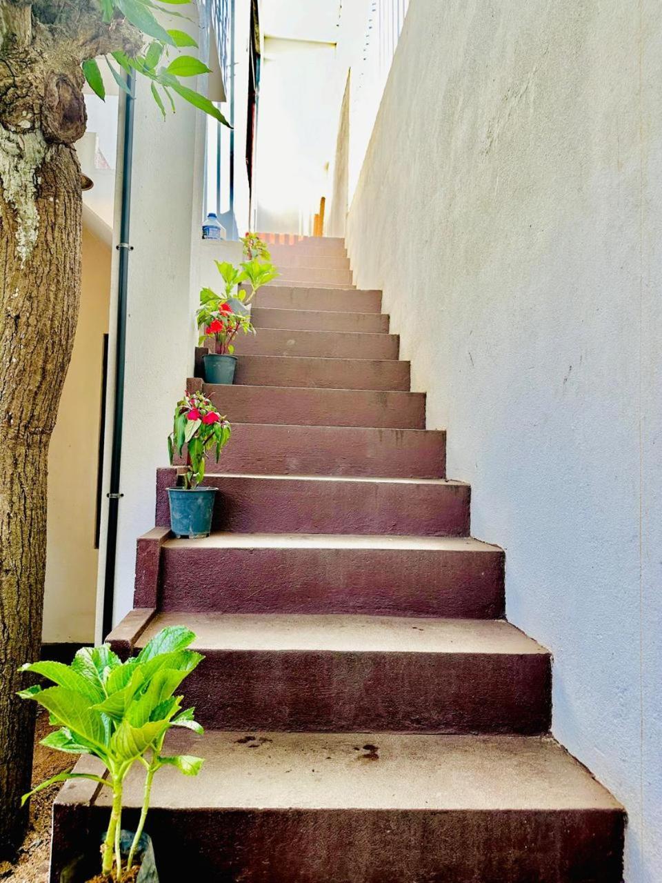 Sea Breeze Guest House 尼甘布 外观 照片
