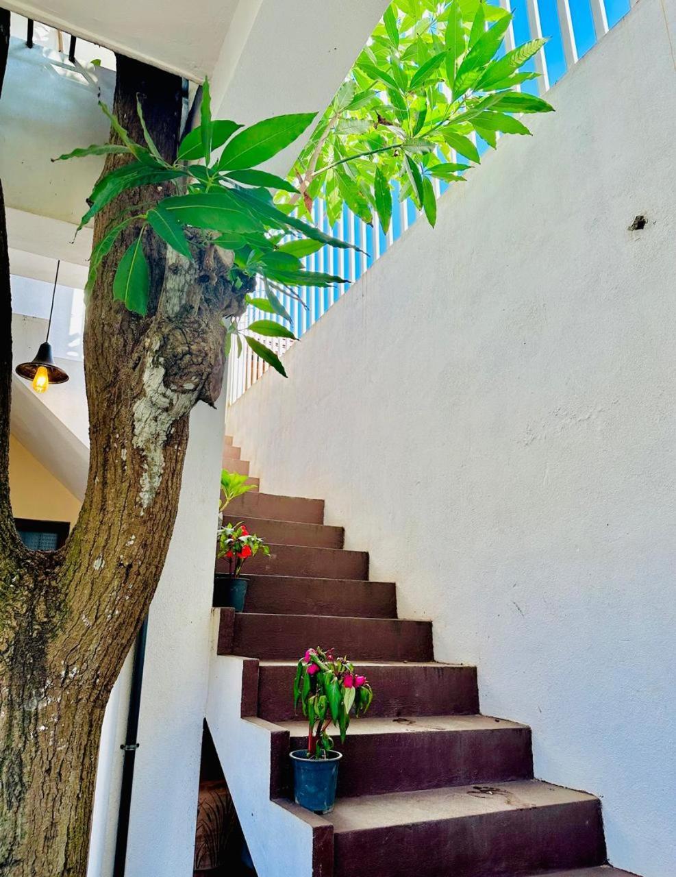 Sea Breeze Guest House 尼甘布 外观 照片